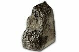 Free-Standing, Petoskey Stone (Fossil Coral) Section - Michigan #356978-2